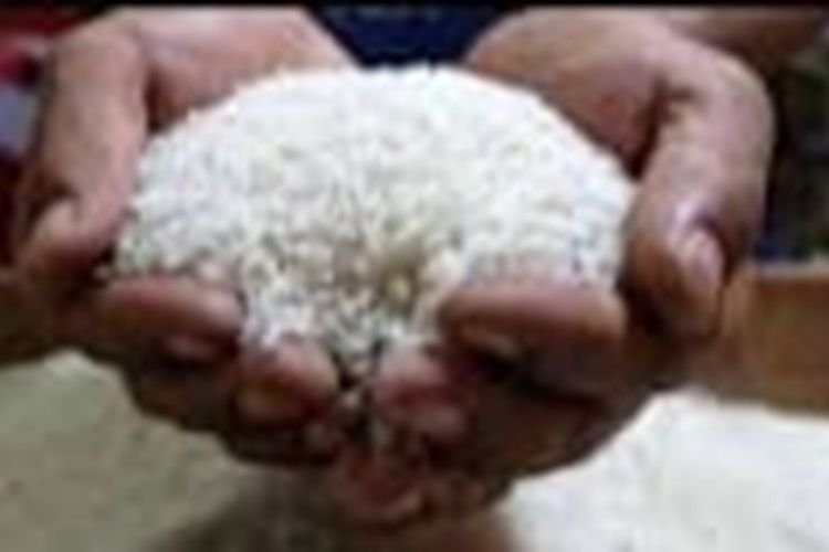 Bapanas: Bantuan Pangan Beras Terus Bergulir, Tapi…