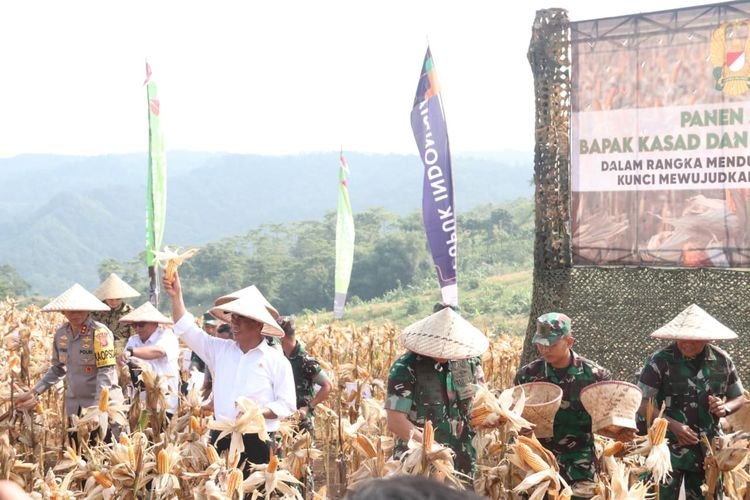 Berhasil Kembangkan Food Estate di Sukabumi, Ini Langkah KSAD Selanjutnya