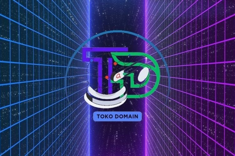 Optimalkan Bisnis Online Anda dengan Aged Domain & Expired Domain dari Tokodomain.id