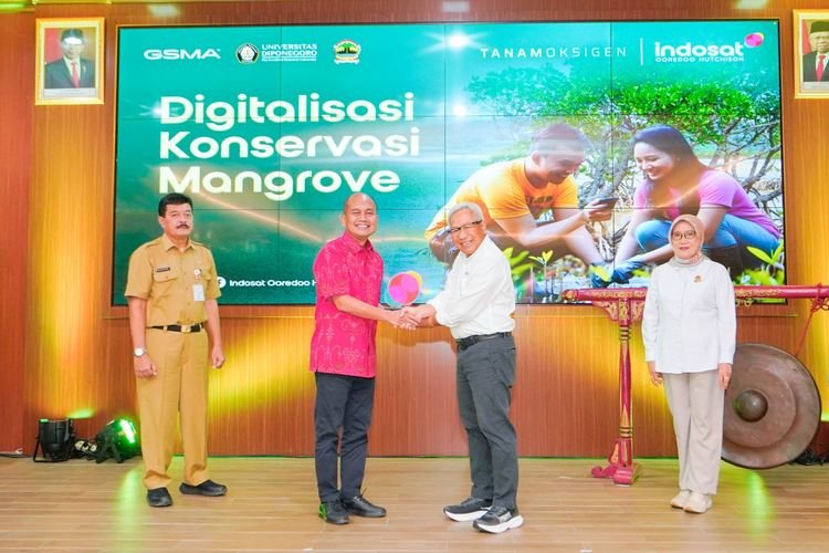 Perkenalkan Solusi IoT, Indosat : Upaya Konservasi Ekosistem Mangrove