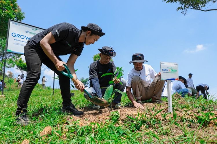Hijaukan Bumi Bersama BRI, Kisah ‘Penambang Tobat’ Pulihkan Hutan Rusak Bekas Tambang