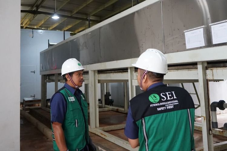 Mau Tahu Cara Hijaukan dan Lestarikan Alam Ala PT SEI? Begini Triknya