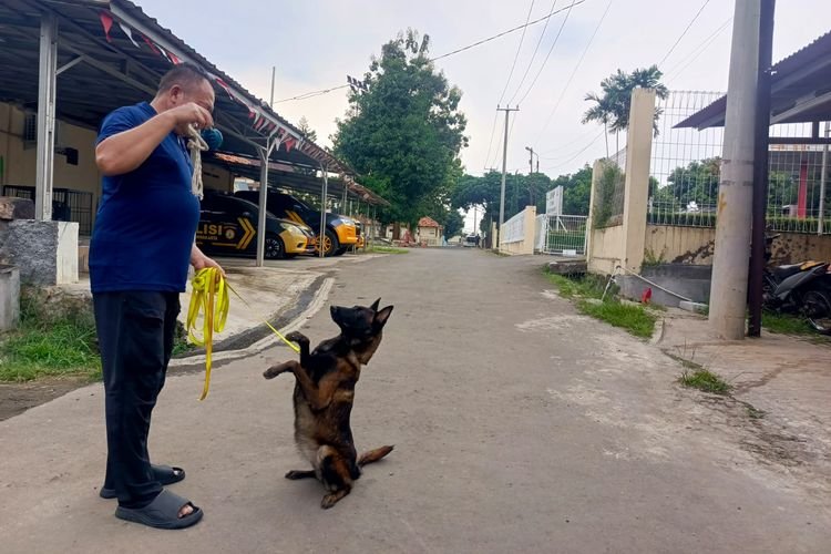 Berantas Tindak Kejahatan, Polisi Fungsikan Anjing Pelacak