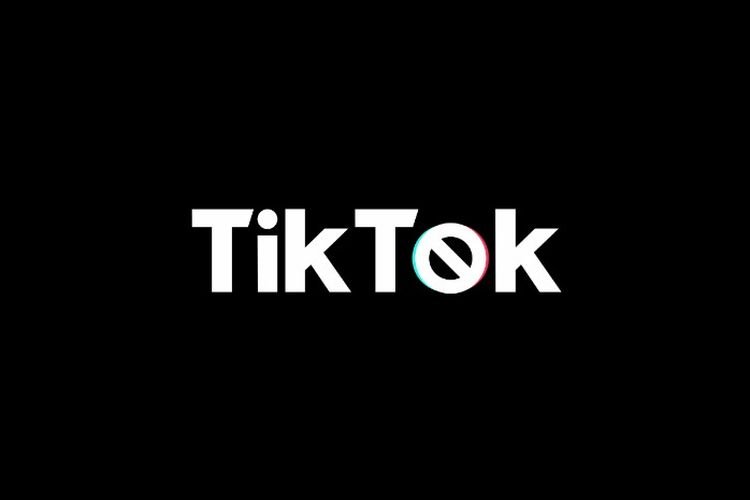 TikTok Diblokir di AS, Begini Janji Donald Trump Atasi Problem Itu usai Dilantik Jadi Presiden