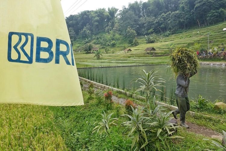 ESG Bukan Sekadar Tren, BRI Buktikan dengan Aksi Nyata! Tembus Hingga Ratusan Triliun