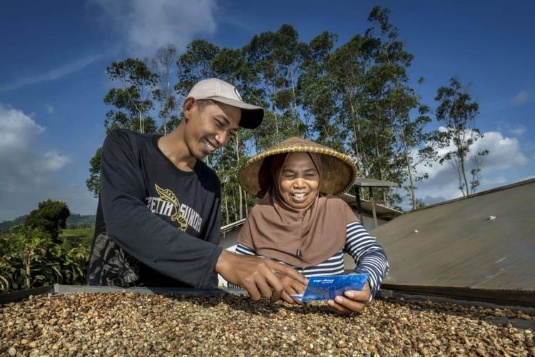 Raih Penghargaan Internasional, Strategi BRI Berdayakan UMKM Ungguli Bank Lain