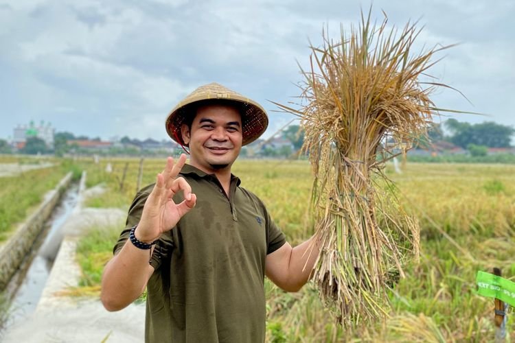 Kerjasama 49 Pabrik, Bulog Karawang Pastikan Terus Serap Gabah Kering Petani