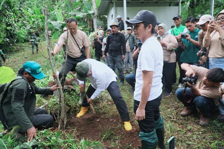 Jaga Kelestarian Hutan, Bupati Purwakarta Tanam Pohon di Hutan Leuweung Tiis