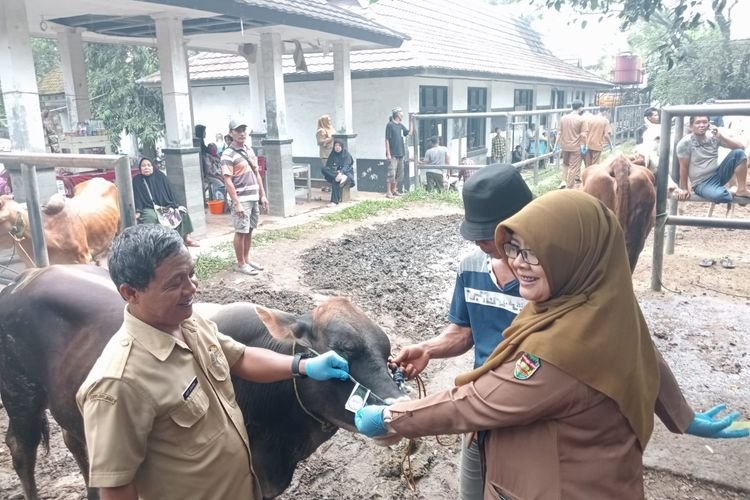 Jelang Idul Adha 1446 H, Pemkab Purwakarta Tingkatkan Pengawasan Kesehatan Hewan Kurban