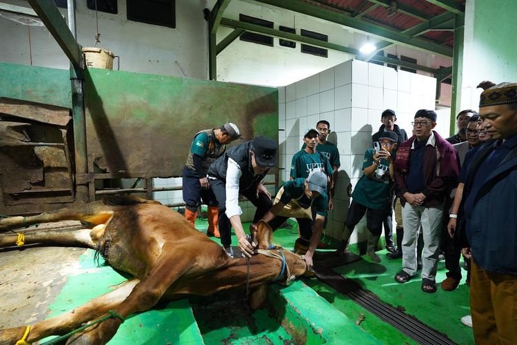Ini Alasan Kota Sukabumi Potong Sapi di RKH