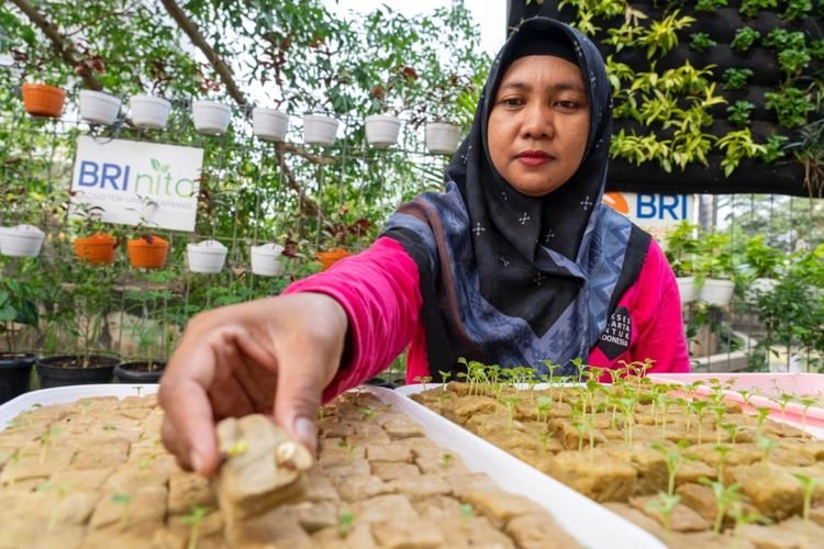 BRI Raih Penghargaan Berkat Program BRInita, Dorong Urban Farming dan Pemberdayaan Perempuan
