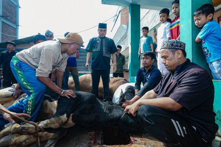 Pemkot Bandung akan Terus Pantau Penyembelihan Hewan Kurban Selama Hari Tasrik