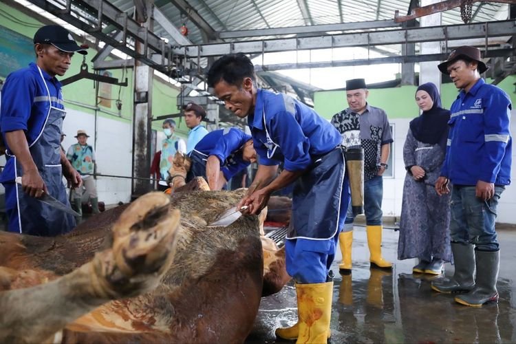 Pemotongan Kurban Lancar dan Sehat, Kesadaran Masyarakat Meningkat