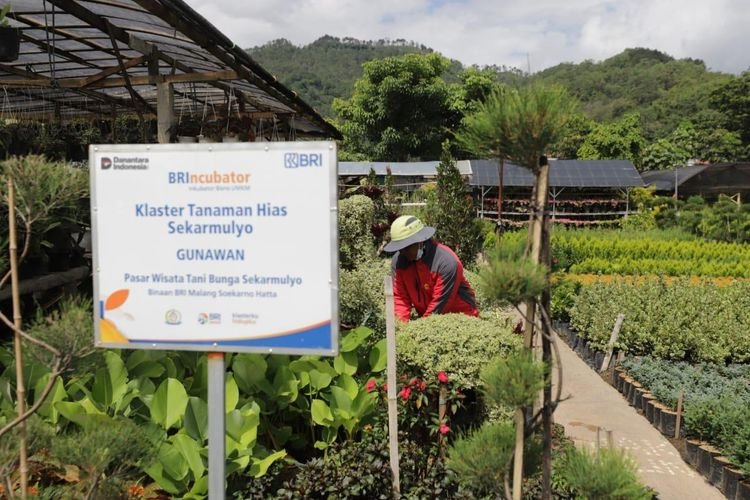 BRI Berdayakan 41 Ribu Klaster Usaha UMKM, Akses Pembiayaan Capai 170 Ribu Pelaku