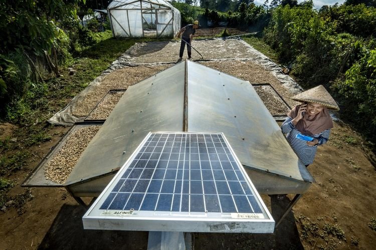 BRI Cetak 65,46 Persen Pendapatan dari SDGs-Linked Revenue, Bukti Nyata Komitmen Berkelanjutan