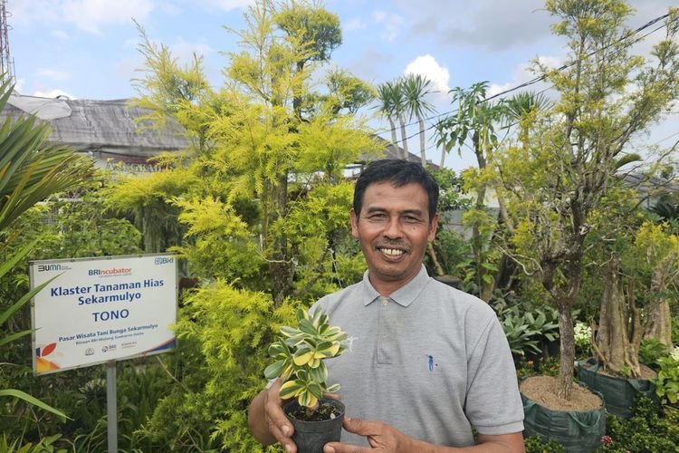 Klaster Tanaman Hias Binaan BRI Batu Raup Omzet Ratusan Juta, Warga Sekitar Ikut Makmur