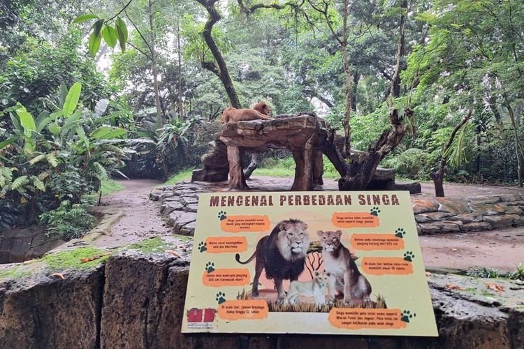 Satwa Jangan Jadi Korban Sengketa, IJPS Jabar Desak Walikota Bandung Putuskan Soal Bandung Zoo dengan BIjak