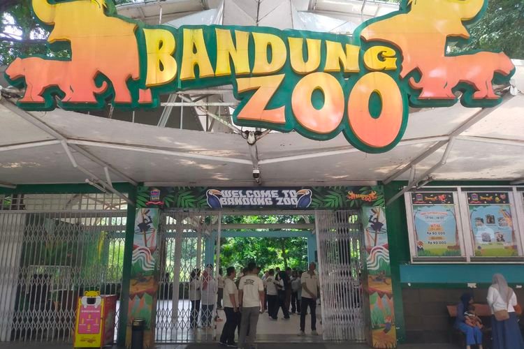 Bandung Zoo Keluar dari PKBSI