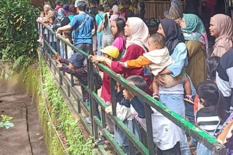 Bandung Zoo Dibuka