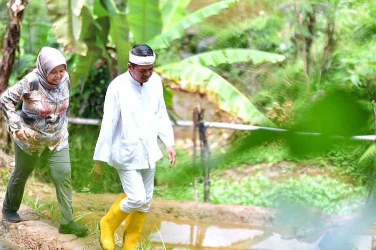 Hutan Jabar Kritis, Dedi Mulyadi Bakal Gaji Warga Rp50 Ribu Per Hari untuk Tanam Pohon
