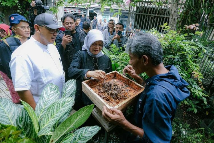 Walikota Bandung Apresiasi KBS Cibangkong, Dorong Produksi Madu Trigona Sehat