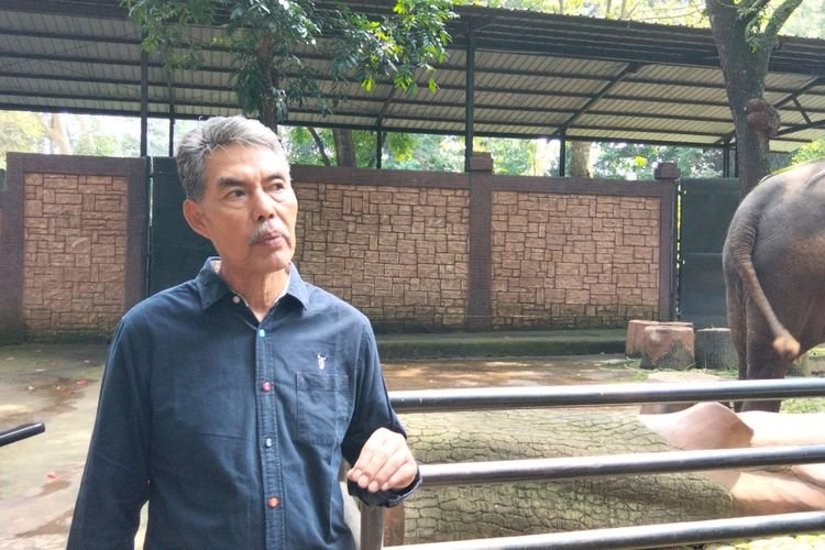 Bandung Zoo Bertahan di Tengah Ketidakpastian, Satwa Tetap Terawat Meski Tanpa Kepastian Pengelola