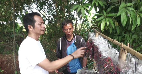 Momen Haru Bupati Purwakarta Om Zein Borong Buah Huni Warga